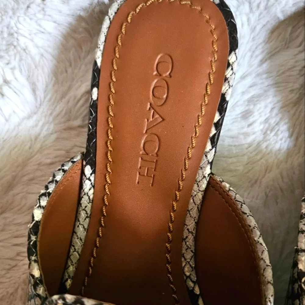 Coach Scotty Slide Mule Snake Print Silver Logo Women's Size 6 Shoes